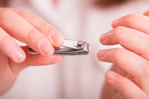 Why don't we feel any pain when our nails are cut in spite of them being a  part of our body? - Quora